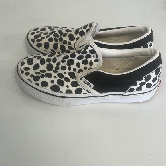 Custom Vans - Picture 2 of 4